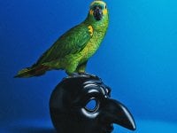 Portobello, recensione dei primi episodi: Tortora, Kafka e la puntuale modernità di Marco Bellocchio
