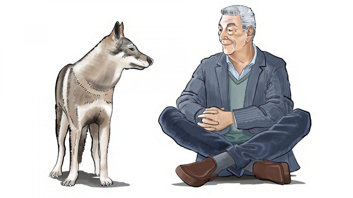 Come ti muovi, sbagli, recensione: la poesia della normalità. Il cinema di Gianni Di Gregorio è aria pulita Come ti muovi, sbagli, recensione: la poesia della normalità. Il cinema di Gianni Di Gregorio è aria pulita