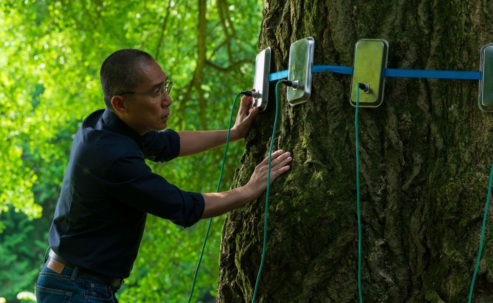 Silent Friend Tony Leung Chiu Wai Scena