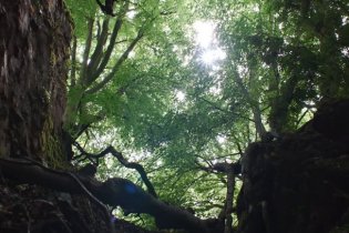 Hamnet - Trailer del film di Chloé Zhao con Jessie Buckley e Paul Mescal