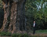 Silent Friend, la recensione: Un ginkgo biloba testimone silenzioso di un piccolo grande film