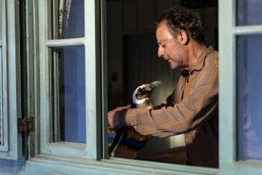 Il Mio Amico Pinguino Jean Reno