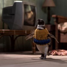 Il mio amico pinguino: il piccolo protagonista con un maglioncino su misura