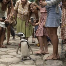 Il mio amico pinguino: il pinguino è la star del villaggio