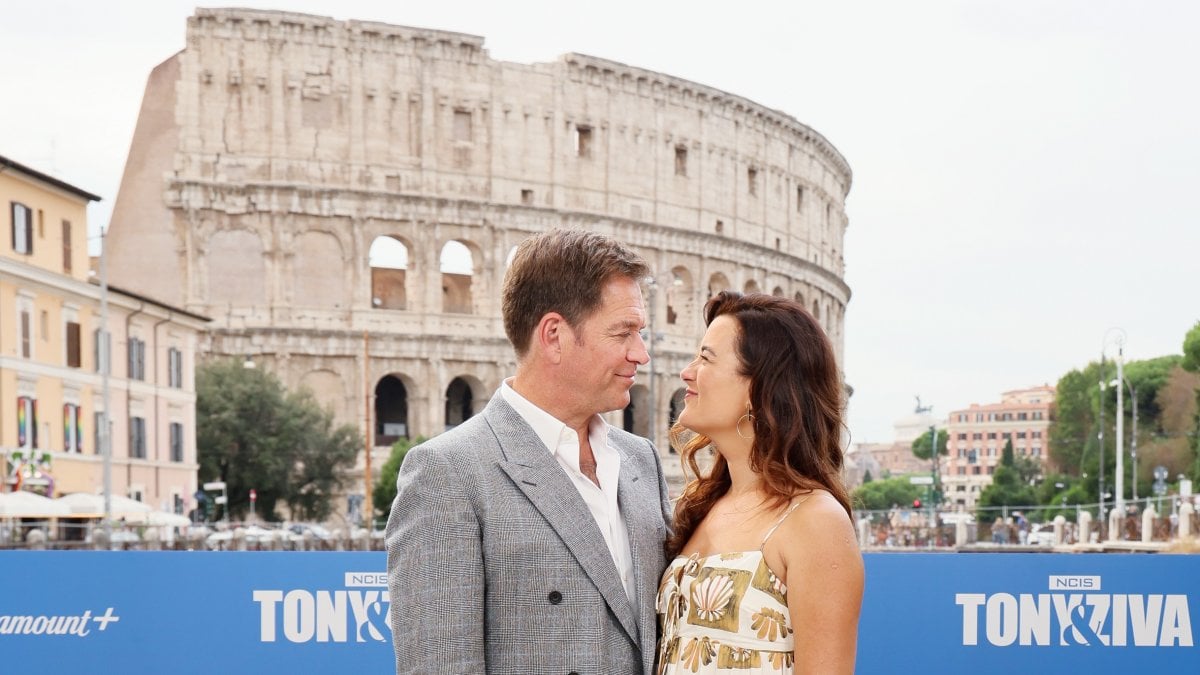 ncis tony and ziva michael weatherly e cote de pablo gli amici non possono sostituire la terapia