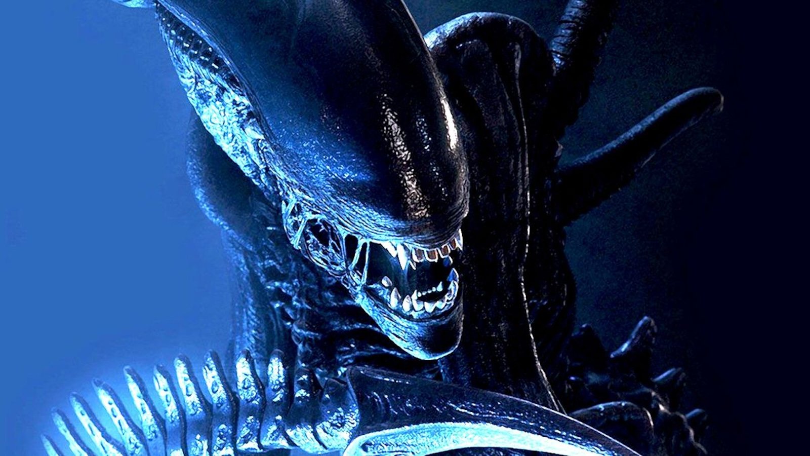 Alien: Pianeta Terra, l'immagine di uno Xenomorfo