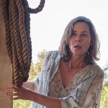 Don't Let's Go to the Dogs Tonight: una foto