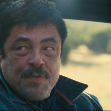 Una battaglia dopo l'altra: Benicio Del Toro in un primo piano