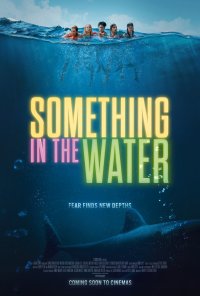 Locandina di Something in the Water