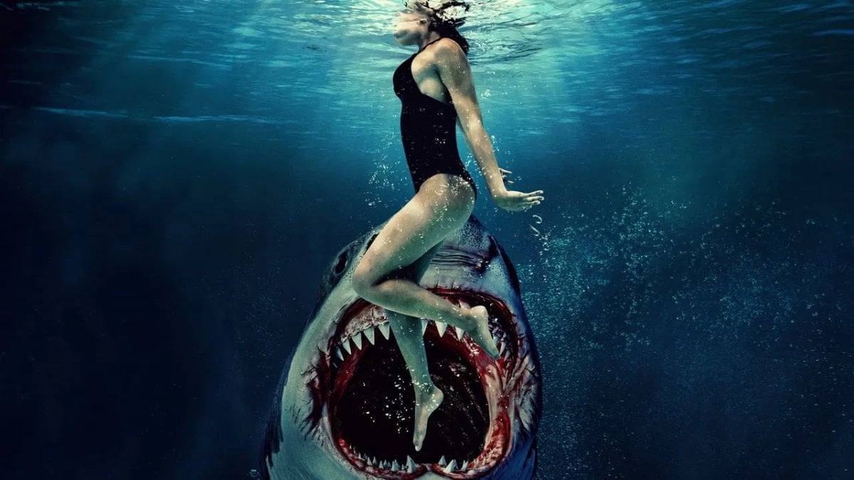 Something in the Water, la recensione: un survival shark movie in mare aperto Something in the Water, la recensione: un survival shark movie in mare aperto