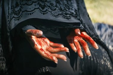 The Woman In The Yard 5