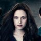 Twilight, l'autrice dei romanzi non ha mai approvato la scelta di Bella: 'Io sono team lupi mannari'
