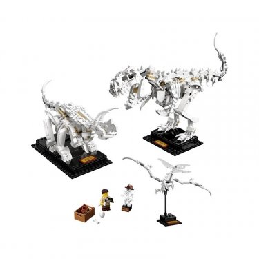 Lego 21320 Fossili Di Dinosauro