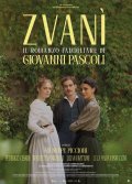 Locandina di Zvanì Il romanzo famigliare di Giovanni Pascoli