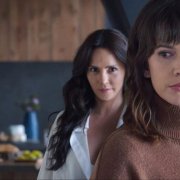 Locandina di L'ospite