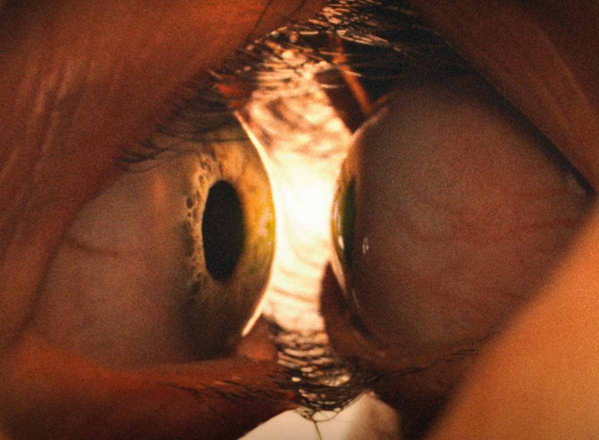 da the substance a together quel cinema che racconta la realt224 prendendoci a schiaffi