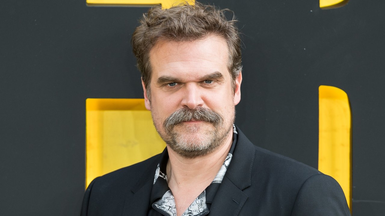 Una foto di David Harbour