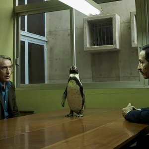 Il Professore e il pinguino: Steve Coogan in un'immagine