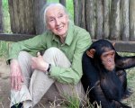Jane Goodall è morta, la famosa etologa aveva 91 anni