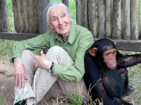 Jane Goodall è morta, la famosa etologa aveva 91 anni