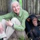 Jane Goodall è morta, la famosa etologa aveva 91 anni