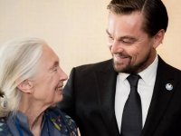 Leonardo DiCaprio svela l'ultimo messaggio per Jane Goodall: 'Sei la mia eroina'
