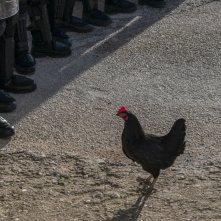 Hen: una foto del film