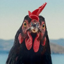 Hen: un primo piano della protagonista