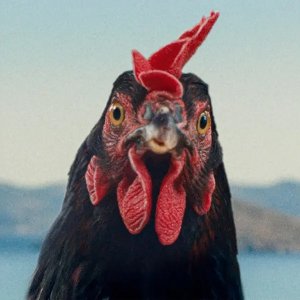 Hen: un primo piano della protagonista