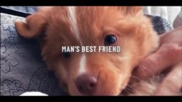 Good Boy - Trailer dell'horror canino rivelazione