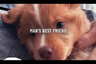 Good Boy - Trailer dell'horror canino rivelazione