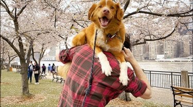 Good Boy Foto Set