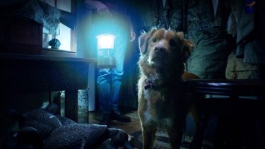 Good Boy Momento Del Film