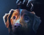 Good Boy, recensione: se un horror spiega perché tutti dovremmo avere un cane per amico