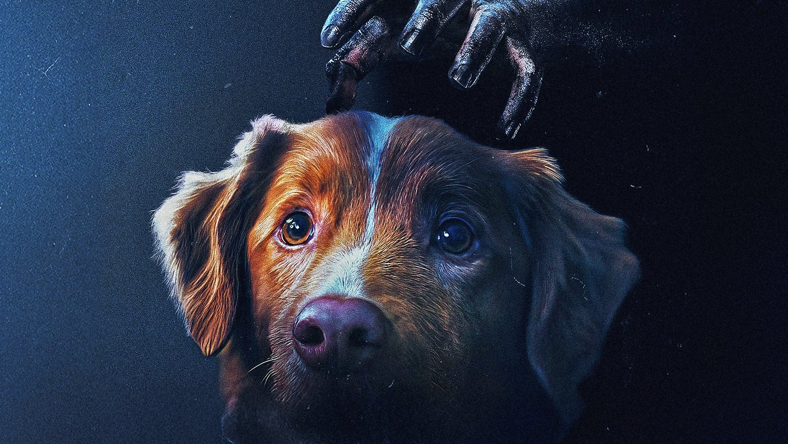 Indy in una scena di Good Boy