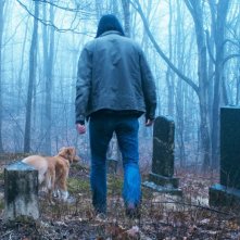 Good Boy: una scena nel bosco
