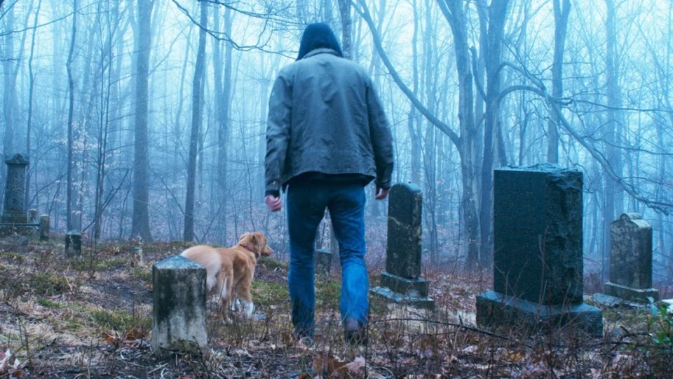 Good Boy Scena Bosco