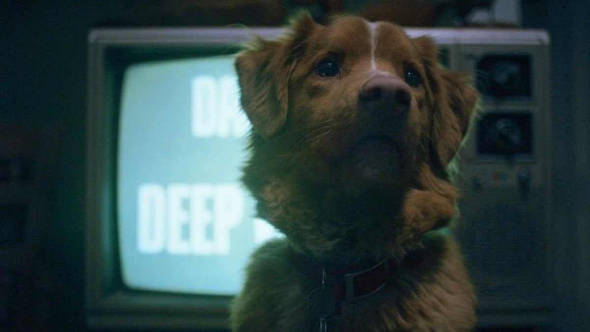 Good Boy: l