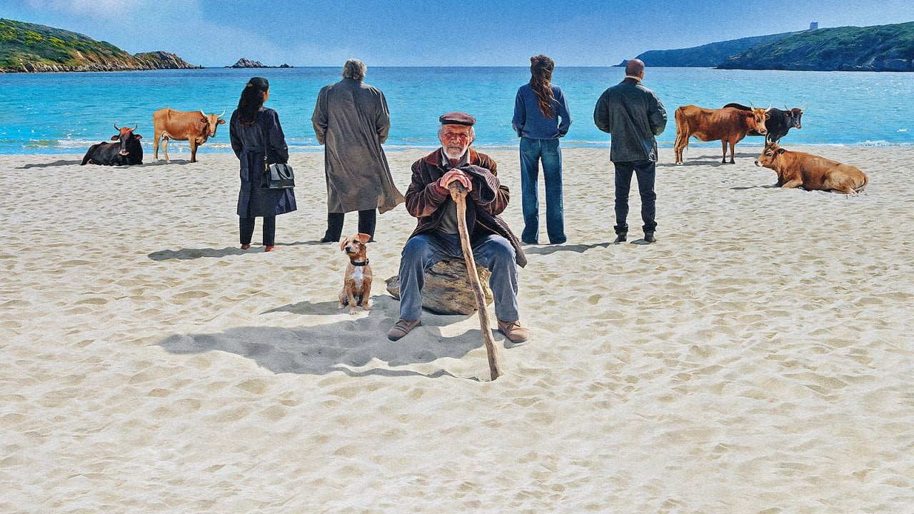 Un'immagine de La vita va così