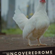 Locandina di Uncovered Rome