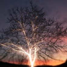 Wider than the Sky - Più grande del cielo: una scena del film