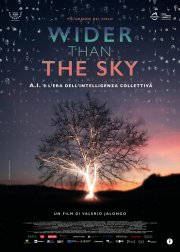 Locandina di Wider than the Sky - Più grande del cielo