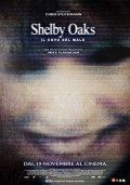 Locandina di Shelby Oaks - Il covo del male