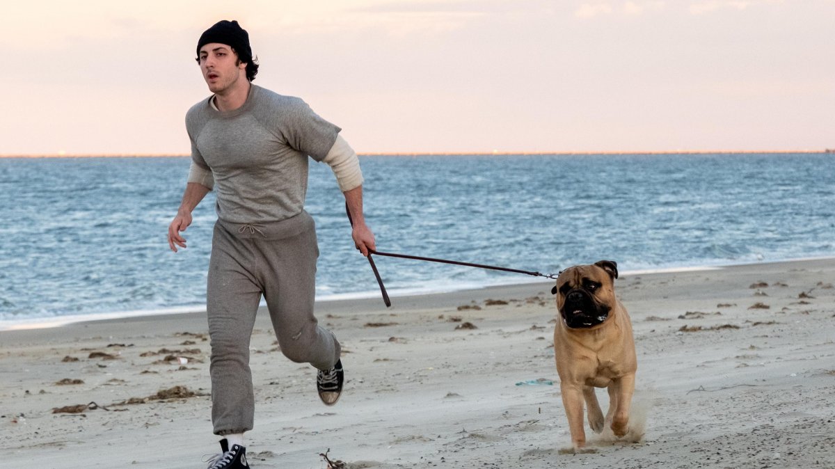 i play rocky pronto per il 50176 anniversario del cult di stallone ecco quando uscir224