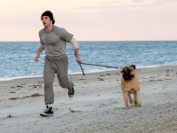 I Play Rocky, bufera sul biopic: Sylvester Stallone escluso dal progetto? La risposta del regista