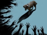 Good Boy, non solo horror: un 'dramma concettuale' sulla perdita e sull'amicizia