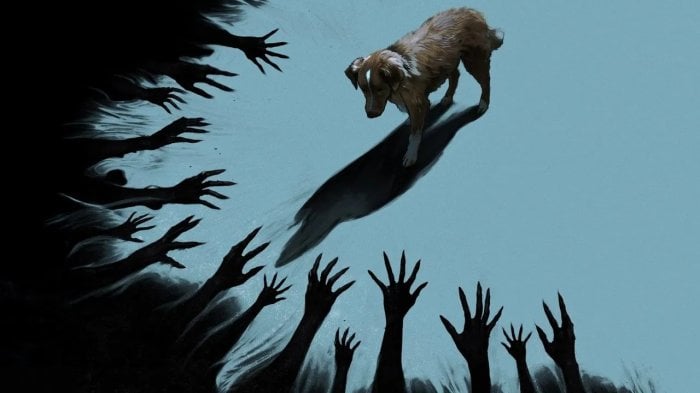 Good Boy, non solo horror: un 'dramma concettuale' sulla perdita e sull'amicizia