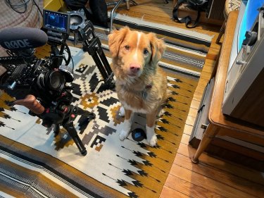 Good Boy Set Film Horror Indy