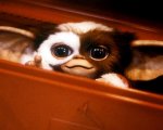 Gremlins 3, confermato il sequel prodotto da Steven Spielberg: ecco la data d'uscita