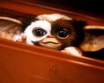 Gremlins 3, confermato il sequel prodotto da Steven Spielberg: ecco la data d'uscita
